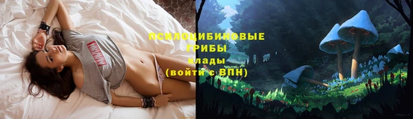 а пвп мука Абаза