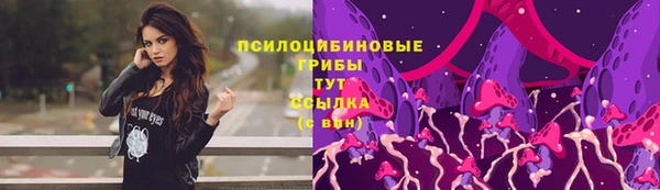 СК Абинск