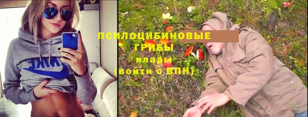 индика Абдулино