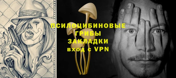 а пвп мука Абаза